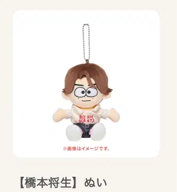 We're timelesz LIVE TOUR 하시모토 마사키 인형