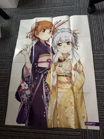 어떤 마술의 금서목록 포스터