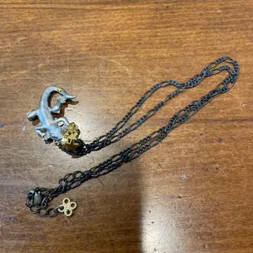 파르나토팍 도마뱀 목걸이