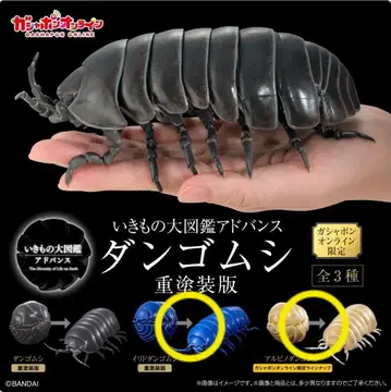 생물대도감 공벌레 중 페인팅 버전 2종