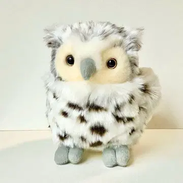 CUTE 큐트 forest angel 시마 올빼미 S 14cm