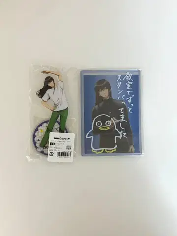 가츠라 코타로 묶음 판매