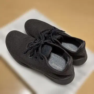 올버즈 트리러너 M9