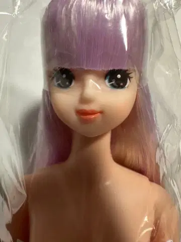 리카짱 캐슬 오타노시미 인형 사유리