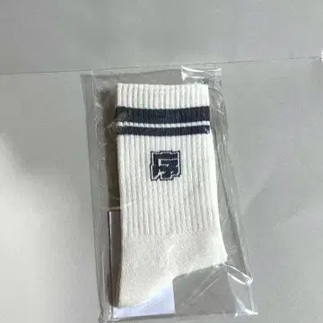 카리스마 쿠사나기 리 양말 점보리 투어