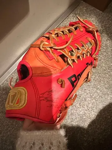 비전 퀘스트 오렌지 그로브 사인 포함