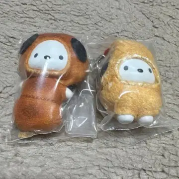 치비토모 포차코