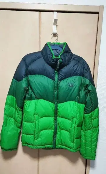 SALEWA 사레와 다운 자켓