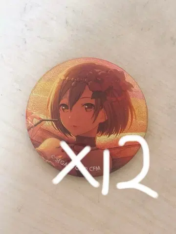 MEIKO 그리캔 12개