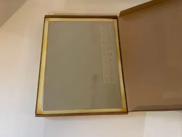 VISIONAIRE 49 이세탄 120주년 기념 비조네아 도서