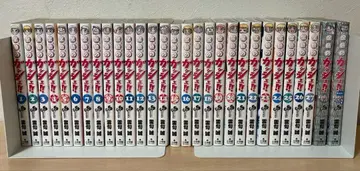 골드 컬러의 갓슈!! 1~27권 + 마루카지리 북