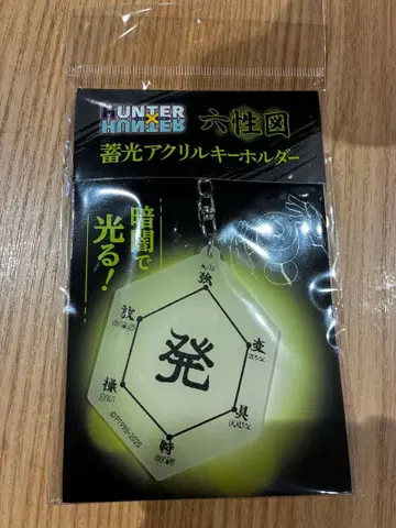 HUNTER x HUNTER 축광 아크릴 키링 육성도
