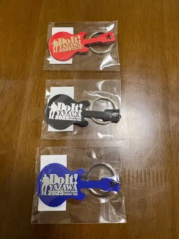 야자와 에이요시회 Do It! YAZAWA 2025 일본 무도관 3일분