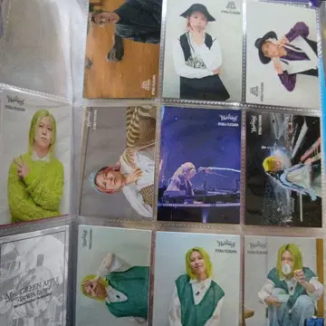 Mrs. GREEN APPLE 후지사와 료카 포토 카드 10장 세트
