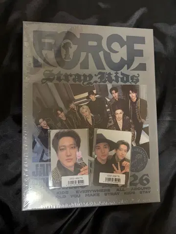 Stray Kids FORCE 미개봉 포토 카드 포함