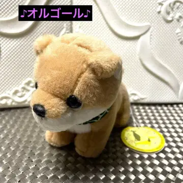 시바견 봉제 인형 오르골 메이트 곡명 캐논 테이크오프 택 포함