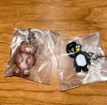 다이스케 콘도 메지루시 액세서리