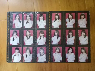 노기자카46 보도교 미니 브로마이드 세트