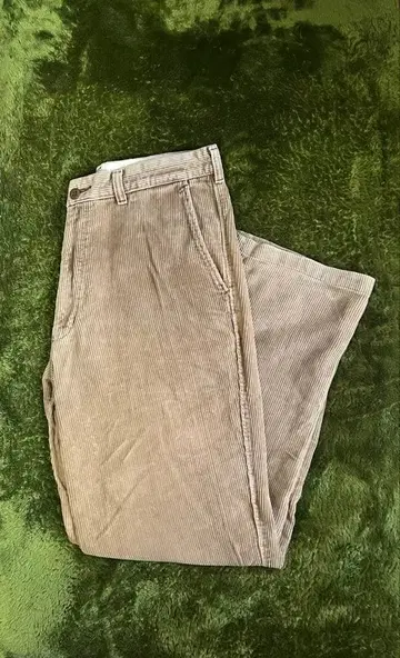 Schott 베이지 코듀로이 팬츠