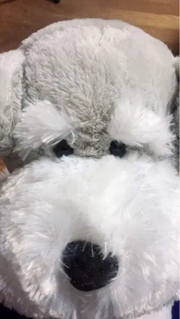 슈나우저 봉제 인형