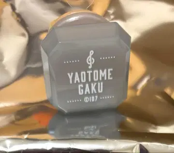 아이나나 야오토메 가쿠 링 라이트