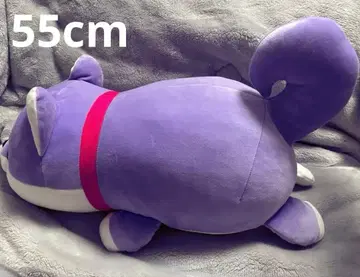 아시카가 플라워 파크 한정판 콩 시바 봉제 인형