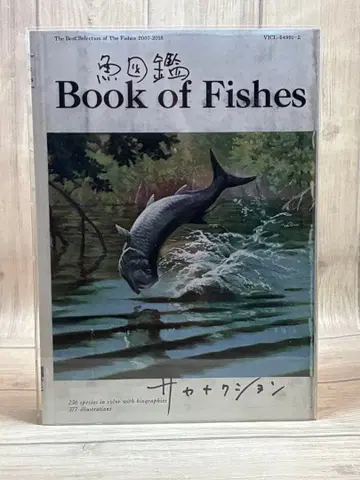 [ 기간 한정 생산반 ] 사카낙션 [ 어도감 ] 2CD