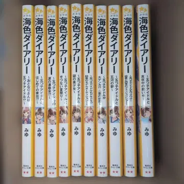 해색 다이어리 10권