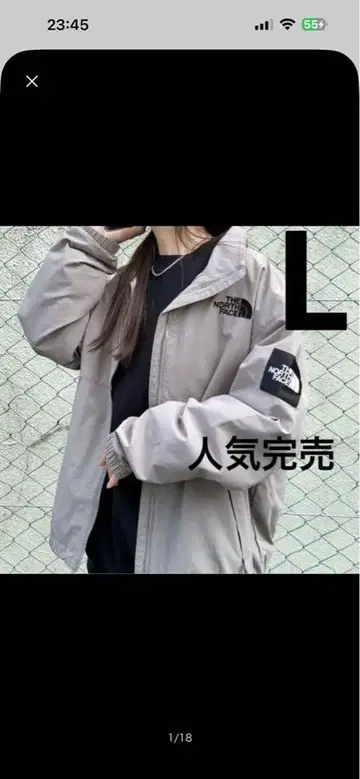 THE NORTH FACE 마운틴 파카 L 사이즈 그레이