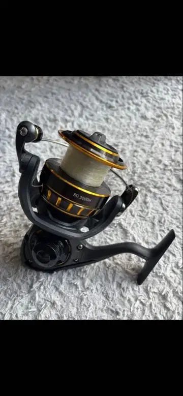 다이와(DAIWA) BG5000H