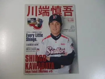 카와바타 신고 스와로 신시대의 주역 부록 포스터 포함