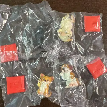 초복견 가챠 세트 카이요도