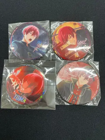 아이나나 캔뱃지 토마