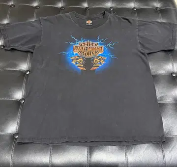 HARLEY DAVIDSON 티셔츠 하레이 티셔츠 블루 프레임