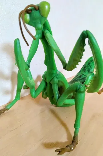 사마귀 피규어 곤충 오오사마귀 큰 MEGA 빅 사이즈