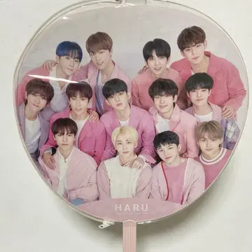 SEVENTEEN HARU 부채 단체