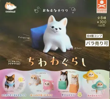 치와와 그라시 전 8종 컴플리트