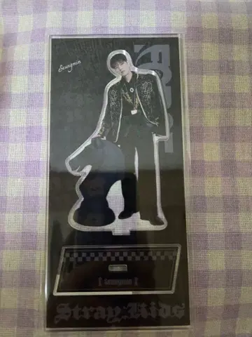 Stray Kids 시그린 아크릴 스탠드 승민