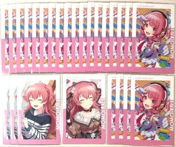 프로세카 에피카 모모이 아이리