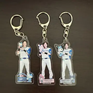 후시미 토라이 아크릴 키링 3개 세트