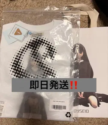 12/28까지 가격 인하! COYSEIO T셔츠 한국 코이세이오