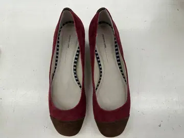 cinnamon noble REGAL