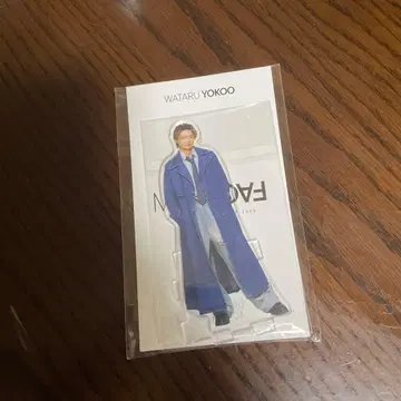 요코오 와타루 아크릴 스탠드 Kis-My-Ft2 2025 MAGFACT