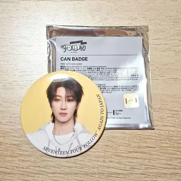 SEVENTEEN FOLLOW AGAIN 캔뱃지 THE8