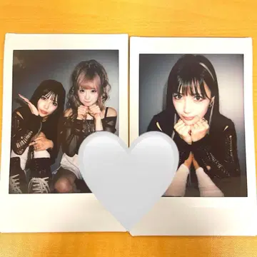 REIRIE 런치 폴라로이드