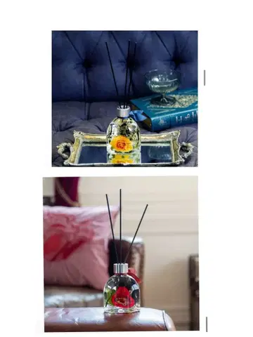 다자이 오사무 나카하라 추야 아로마리움