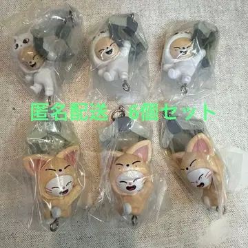 skzoo 쭙쭙이 마스코트 키링 6개 세트