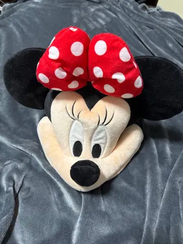 디즈니 미니 팬캡