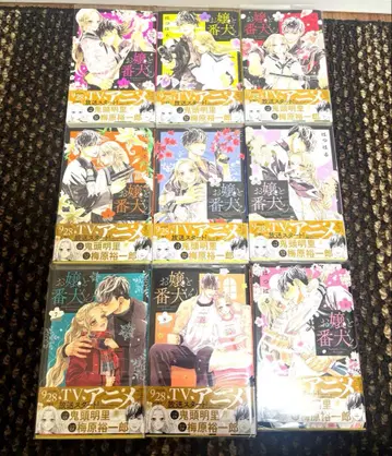 아가씨와 경비원 군 1~9권 전권 세트