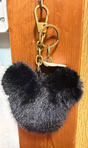 ZARA Disney 콜라보 참 미키 mickey 블랙